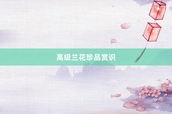 高级兰花珍品赏识