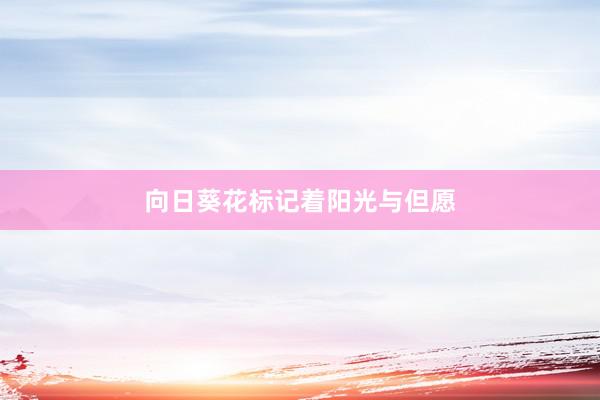 向日葵花标记着阳光与但愿