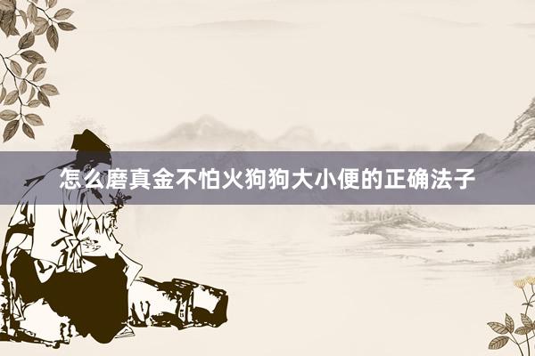 怎么磨真金不怕火狗狗大小便的正确法子