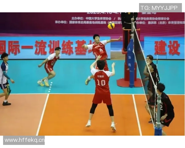 排球速度实力榜单权威发布揭示各国选手竞技水平新动态